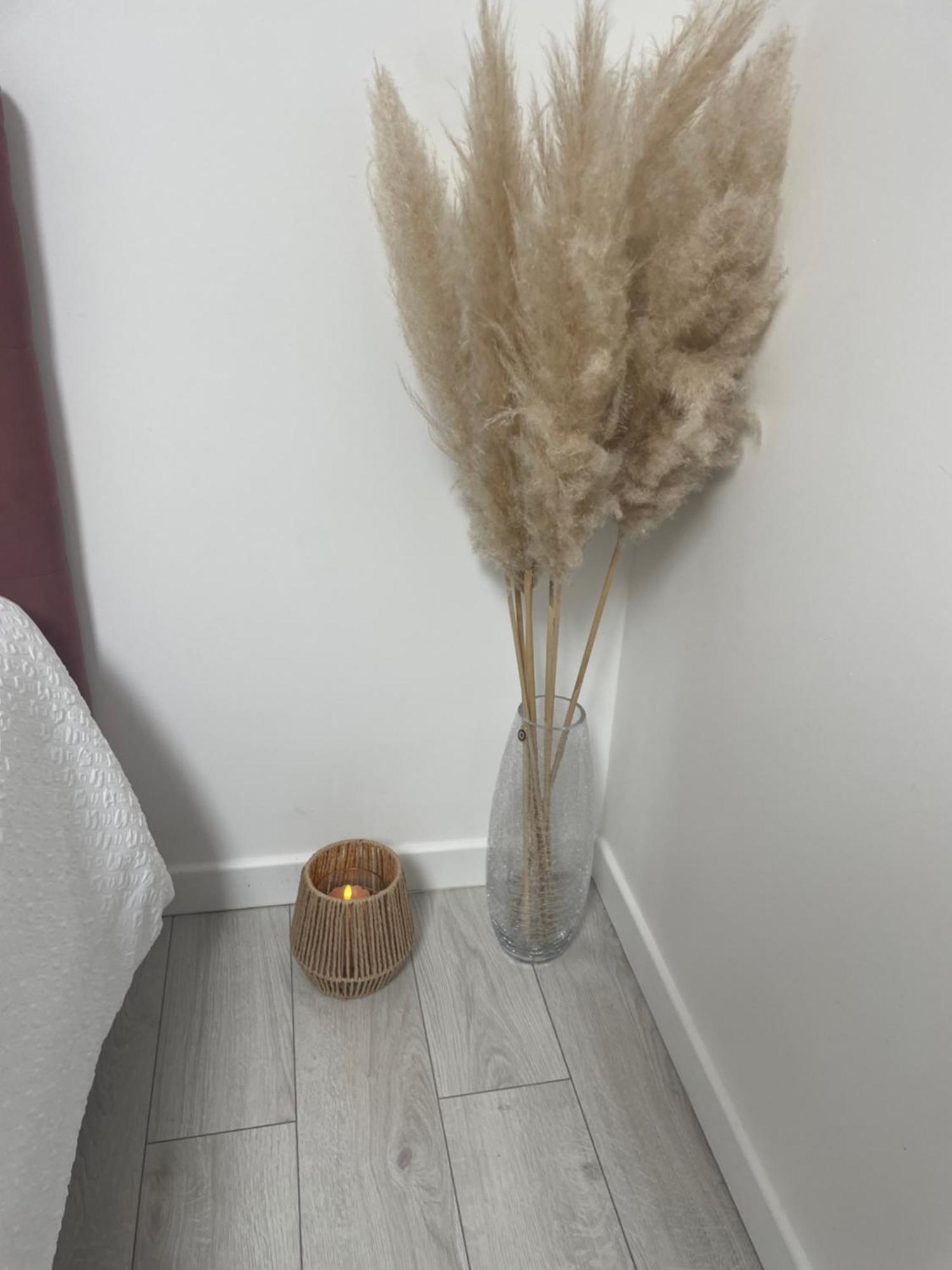 Oasis Spa Pres De Disney Nanteuil-lès-Meaux Εξωτερικό φωτογραφία